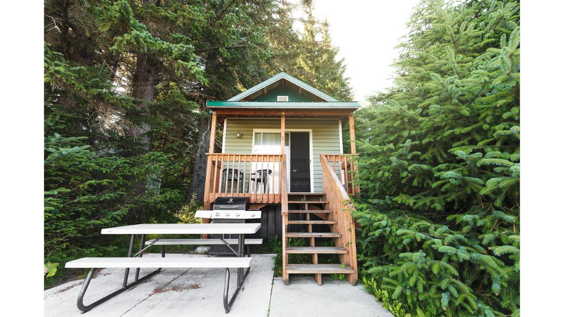 Cabin 1 Lynn View Lodge Haines Exterior foto